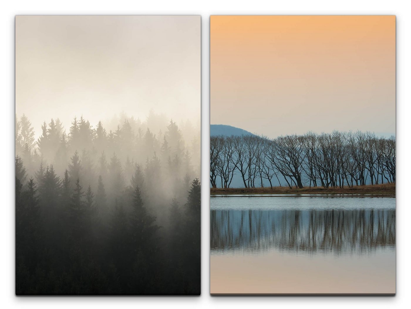 Sinus Art Leinwandbild 2 Bilder je 60x90cm Tannenwald Nebel Natur Baumreihe Reflexion See Friedlich von Sinus Art