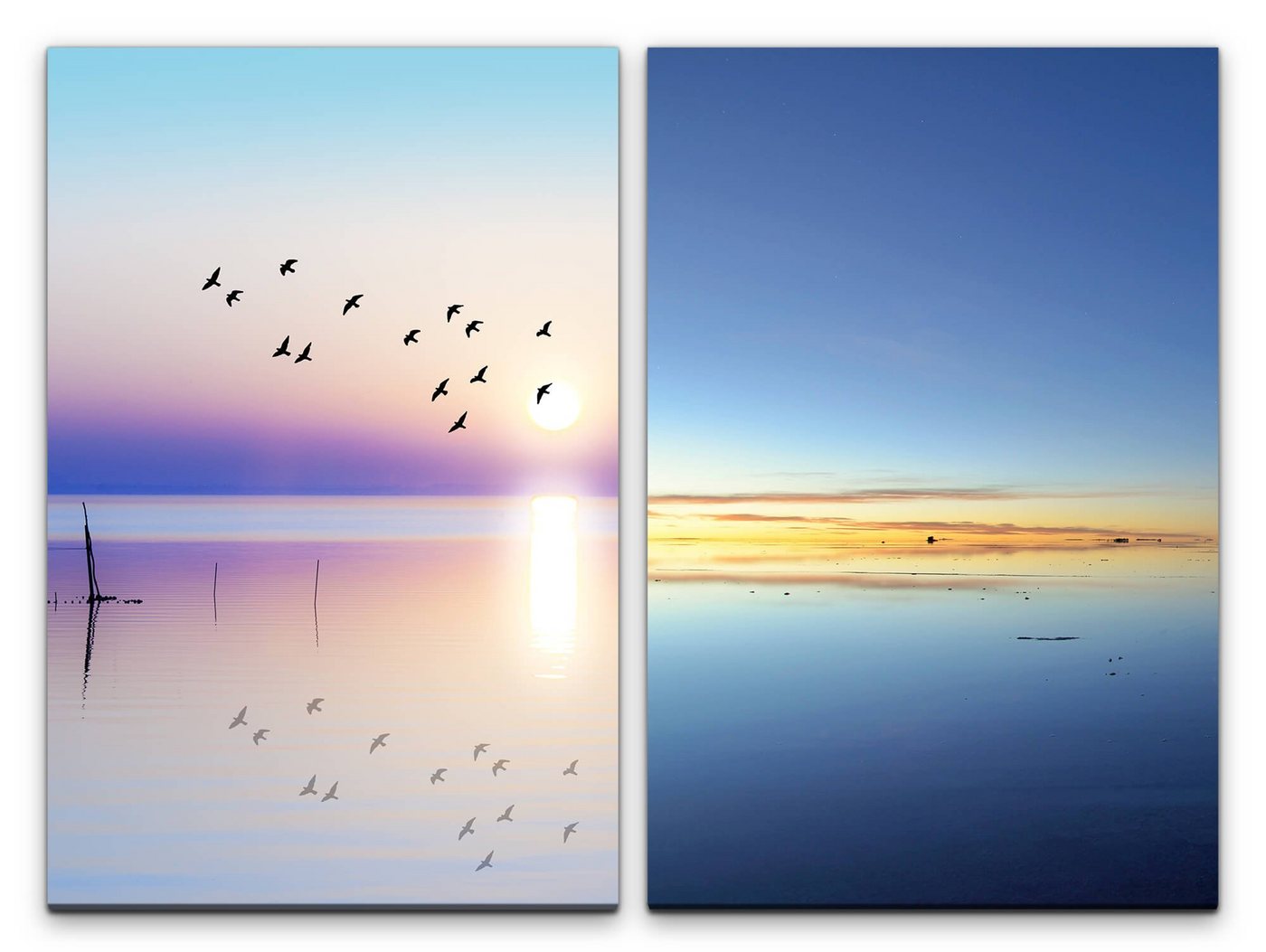 Sinus Art Leinwandbild 2 Bilder je 60x90cm Vögel Meer Friedvoll Ruhe Idyllisch Beruhigend Natur von Sinus Art