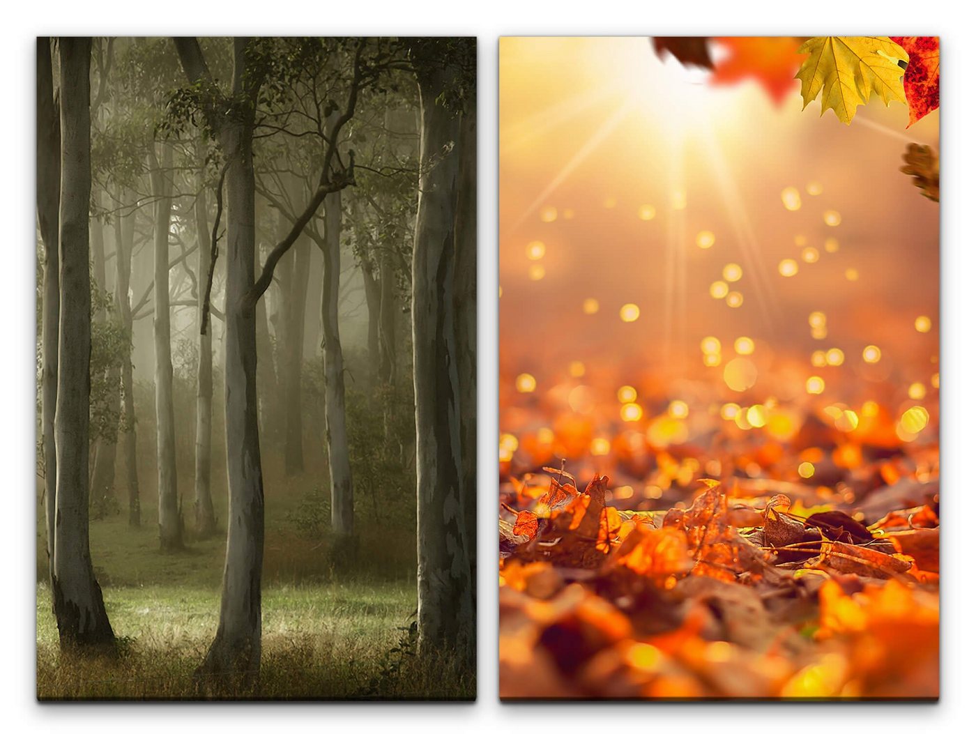 Sinus Art Leinwandbild 2 Bilder je 60x90cm Wald Herbst Laub Sonnenstrahlen Zauberhaft Natur Heilsam von Sinus Art