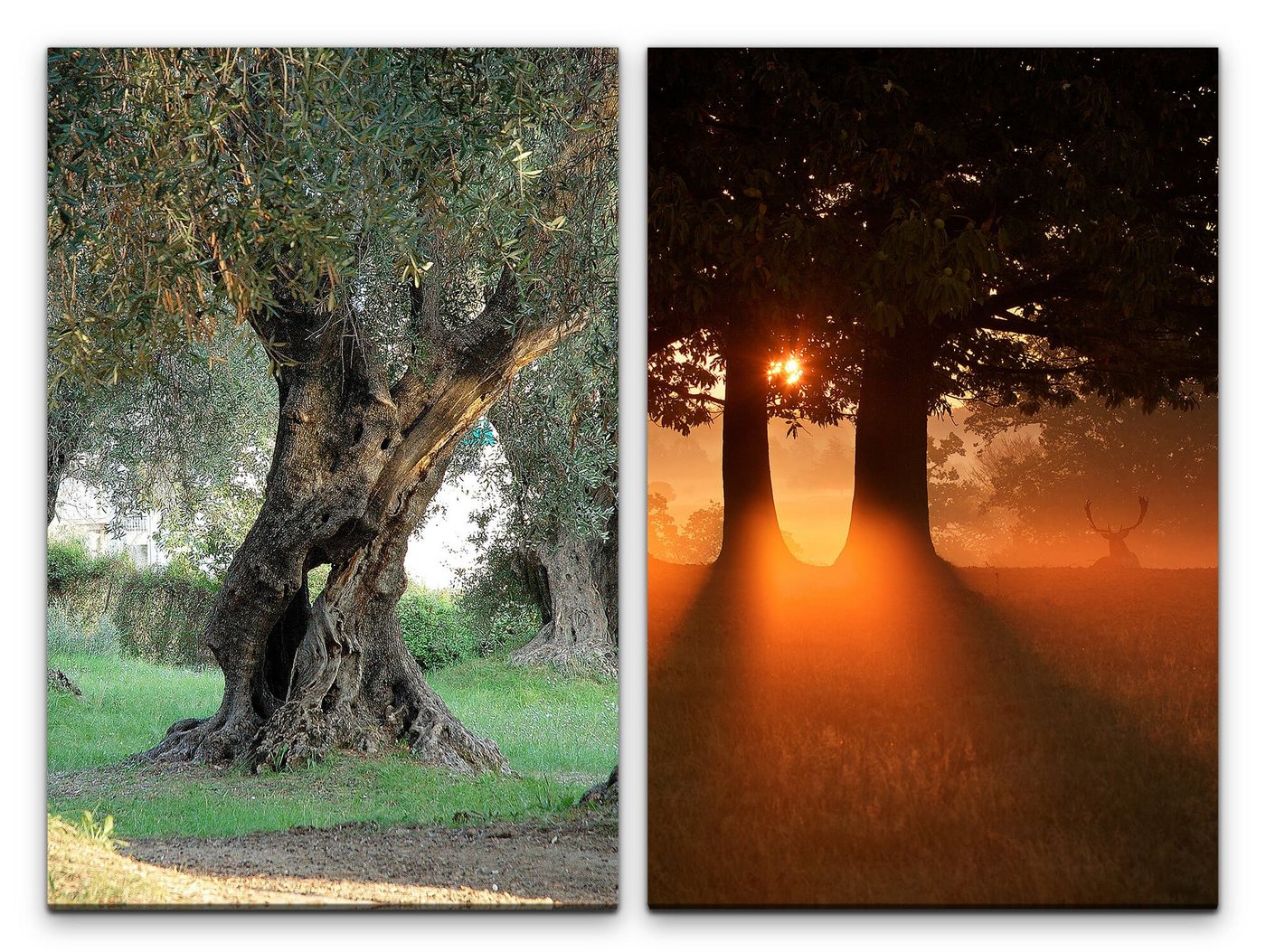Sinus Art Leinwandbild 2 Bilder je 60x90cm Wald Hirschgeweih Natur Mystisch warmes Licht Geräuschlos Sanft Sinus Art Leinwandbild 2 Bilder je 60x90cm Wald Hirschgeweih Natur Mystisch warmes Licht Geräuschlos Sanft von Sinus Art