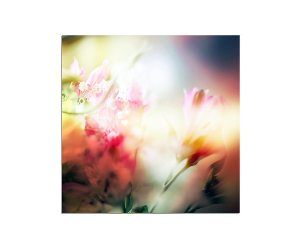 Sinus Art Leinwandbild 80x80cm Blume Blüte farbenfroh abstrakt von Sinus Art