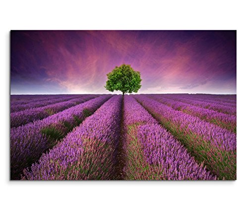 Sinus Art Leinwandbild 90x60cm Künstlerische Fotografie – Weites Lavendelfeld mit einsamen Baum von Sinus Art