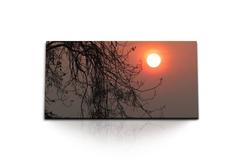 Sinus Art Leinwandbild Kunstdruck Bilder 120x60cm Abendsonne Baumkrone Natur Abenddämmerung, (1 St) von Sinus Art