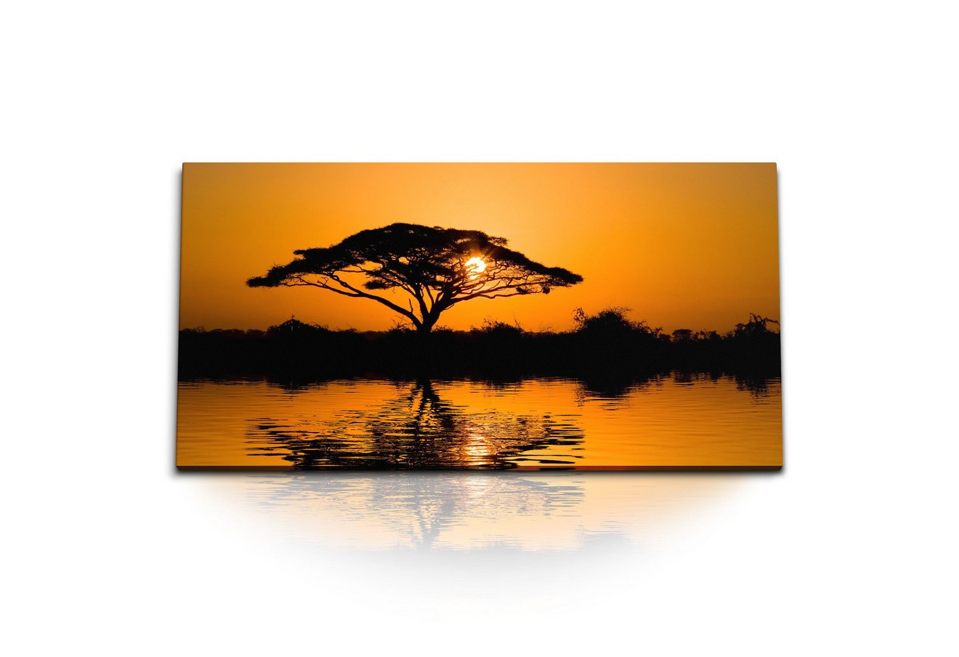 Sinus Art Leinwandbild Kunstdruck Bilder 120x60cm Burkea afrikanischer Baum Sonnenuntergang A, (1 St) von Sinus Art