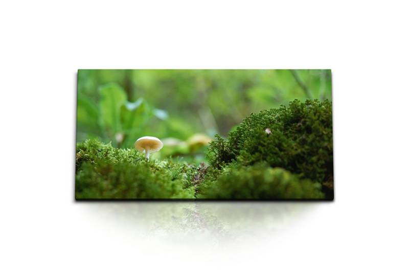 Sinus Art Leinwandbild Kunstdruck Bilder 120x60cm Kleine Pilz am Wald Natur Waldboden Grün, (1 St) von Sinus Art
