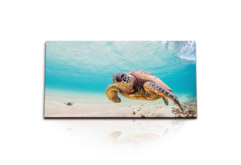 Sinus Art Leinwandbild Kunstdruck Bilder 120x60cm Seeschildkröte unter Wasser Wasserschildkrö, (1 St) von Sinus Art