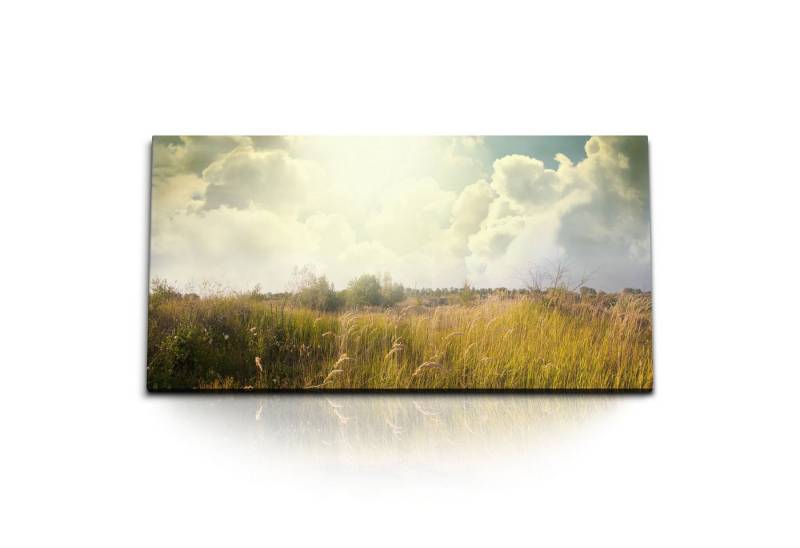 Sinus Art Leinwandbild Kunstdruck Bilder 120x60cm Sommerwiese Wildwiese Natur Sonnenschein Wo, (1 St) von Sinus Art