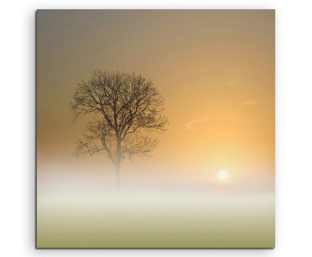 Sinus Art Leinwandbild Landschaftsfotografie – Nebelige Landschaft bei Sonnenaufgang auf Leinwand von Sinus Art