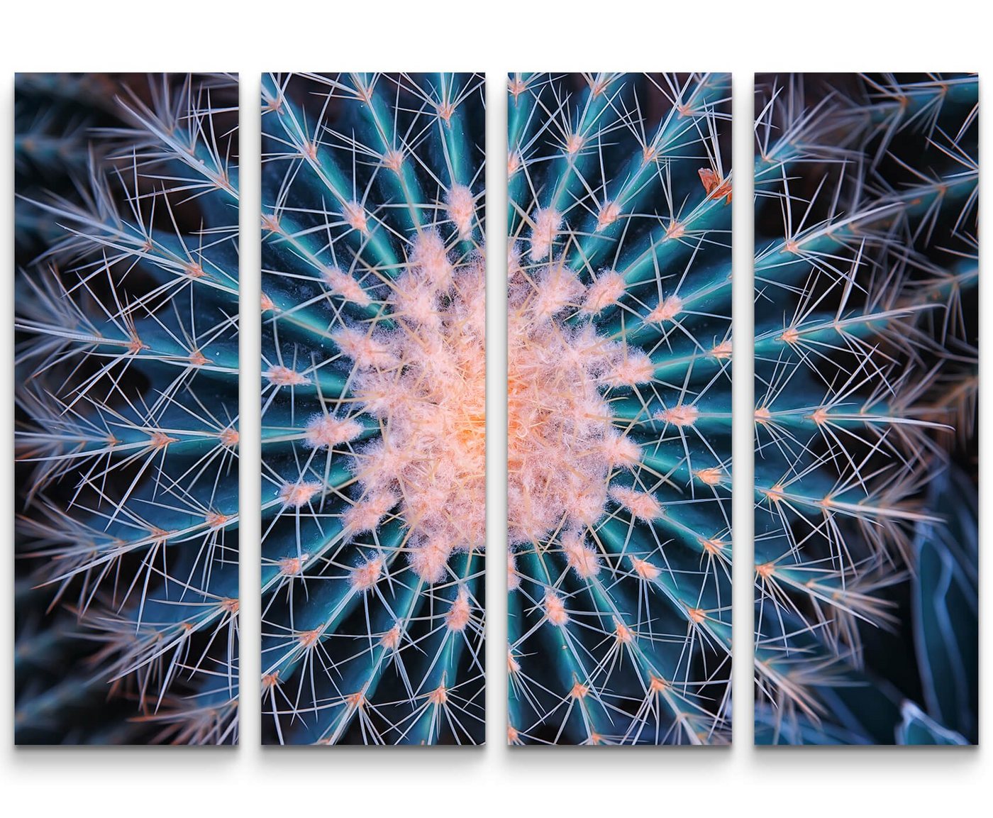 Sinus Art Leinwandbild Makrofotografie  blühender Kaktus - Leinwandbild von Sinus Art
