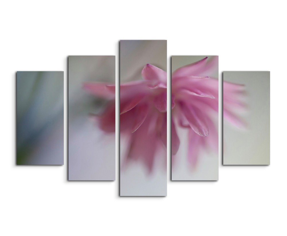 Sinus Art Leinwandbild Naturfotografie  Altrosa Blüte auf Leinwand exklusives Wandbild moderne Fotografie für ihre Wand in von Sinus Art