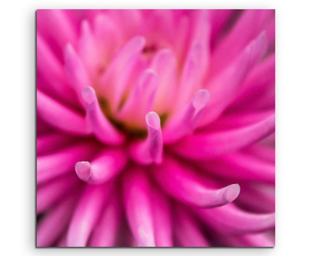 Sinus Art Leinwandbild Naturfotografie  Intensiv pinke Blüte auf Leinwand exklusives Wandbild moderne Fotografie für ihre von Sinus Art