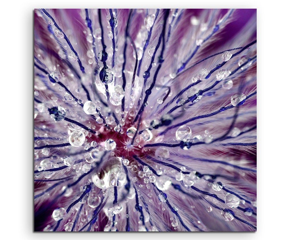 Sinus Art Leinwandbild Naturfotografie – abstrakt modern chic chic dekorativ schön deko schön deko e violette blumen mit T von Sinus Art