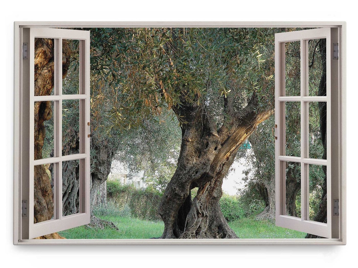 Sinus Art Leinwandbild Wandbild 120x80cm Fensterbild Olivenbaum Natur alter Baum Grün Italien, (1 St) von Sinus Art