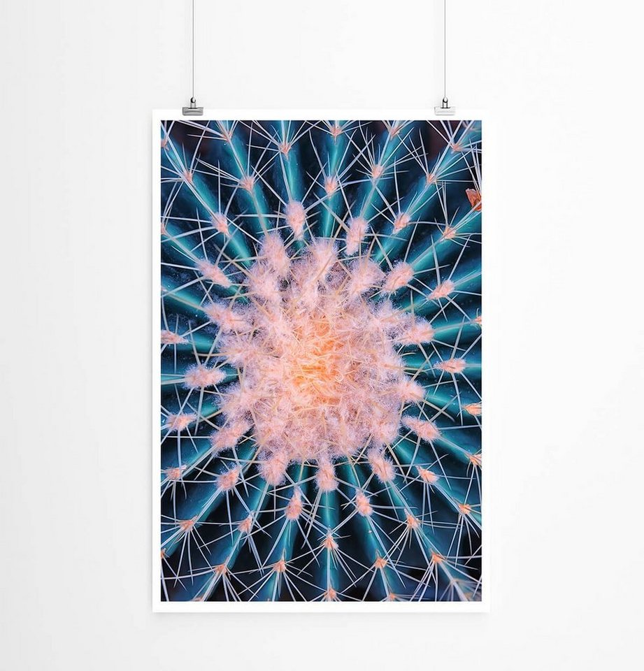 Sinus Art Poster 60x90cm Naturfotografie Poster Runder Kaktus mit Stacheln Sinus Art Poster 60x90cm Naturfotografie Poster Runder Kaktus mit Stacheln von Sinus Art