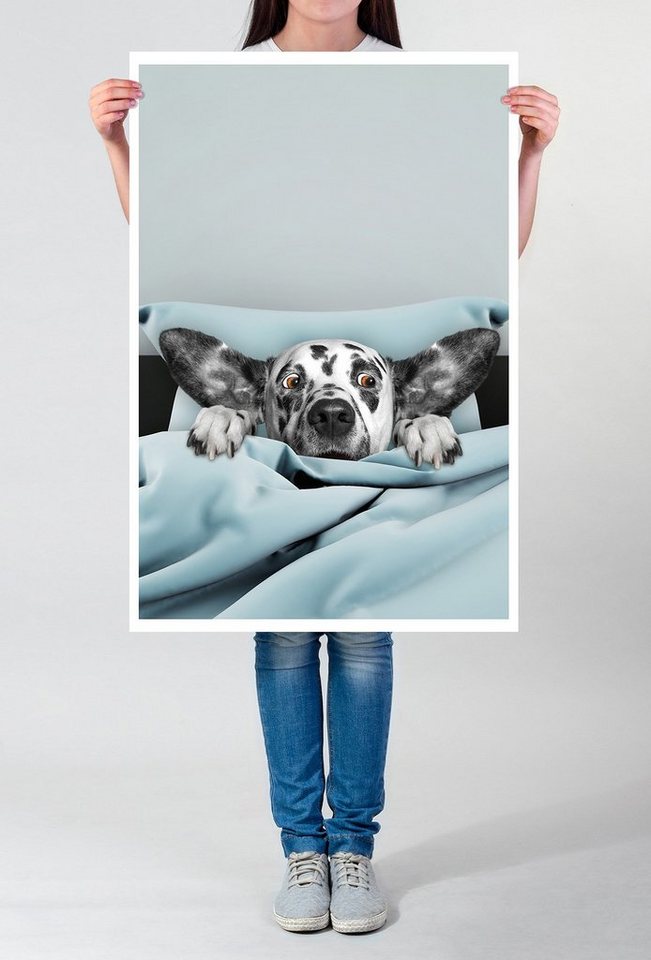 Sinus Art Poster 60x90cm Poster Bild  Süßer Dalmatiner im Bett von Sinus Art