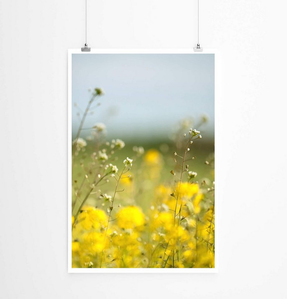 Sinus Art Poster 60x90cm Poster Landschaftsfotografie Wiese mit gelben Blumen Sinus Art Poster 60x90cm Poster Landschaftsfotografie Wiese mit gelben Blumen von Sinus Art
