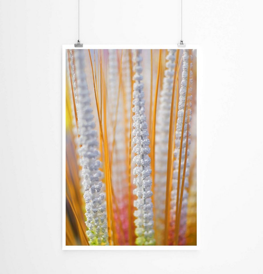 Sinus Art Poster 60x90cm Poster Naturfotografie Künstliche Blumen aus Kalkutta Sinus Art Poster 60x90cm Poster Naturfotografie Künstliche Blumen aus Kalkutta von Sinus Art