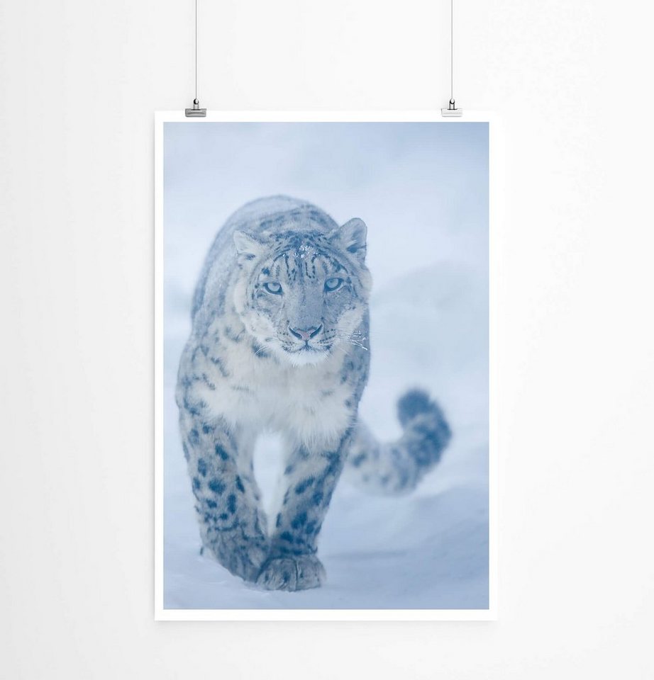 Sinus Art Poster 60x90cm Poster Tierfotografie Schneeleopard auf dem Weg Sinus Art Poster 60x90cm Poster Tierfotografie Schneeleopard auf dem Weg von Sinus Art