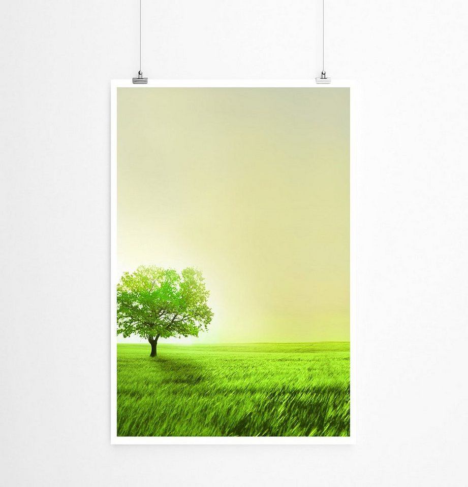 Sinus Art Poster 90x60cm Poster Grüne Wiese mit einsamen Baum von Sinus Art