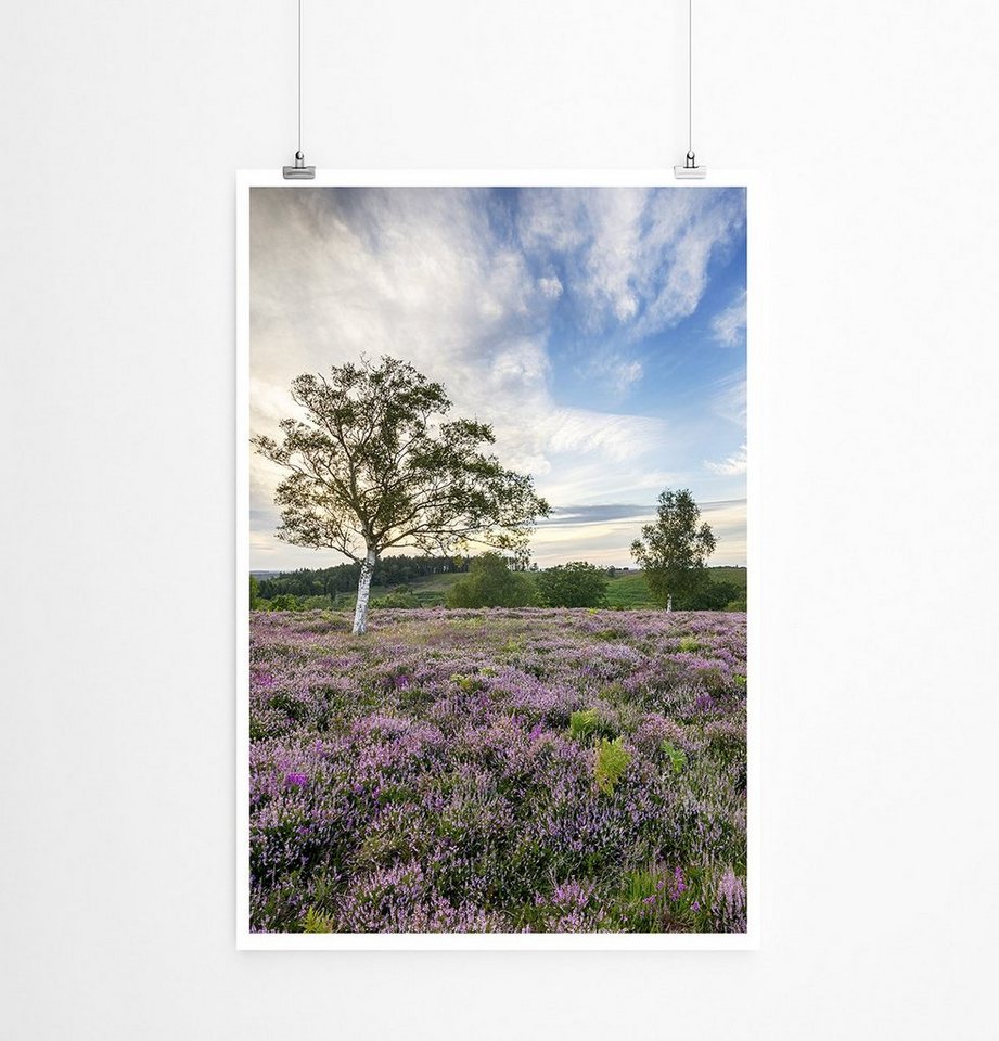 Sinus Art Poster 90x60cm Poster Malerische Heidelandschaft Sinus Art Poster 90x60cm Poster Malerische Heidelandschaft von Sinus Art