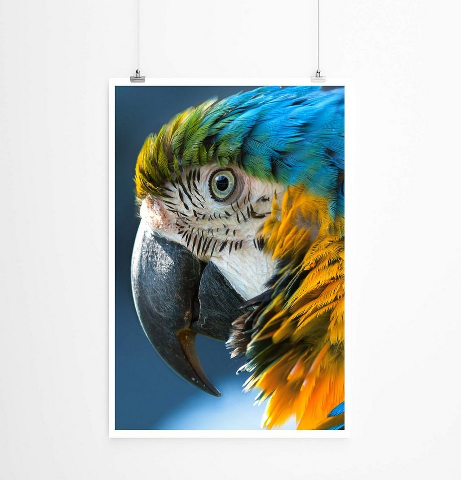 Sinus Art Poster Ara im Porträt 60x90cm Poster Sinus Art Poster Ara im Porträt 60x90cm Poster von Sinus Art