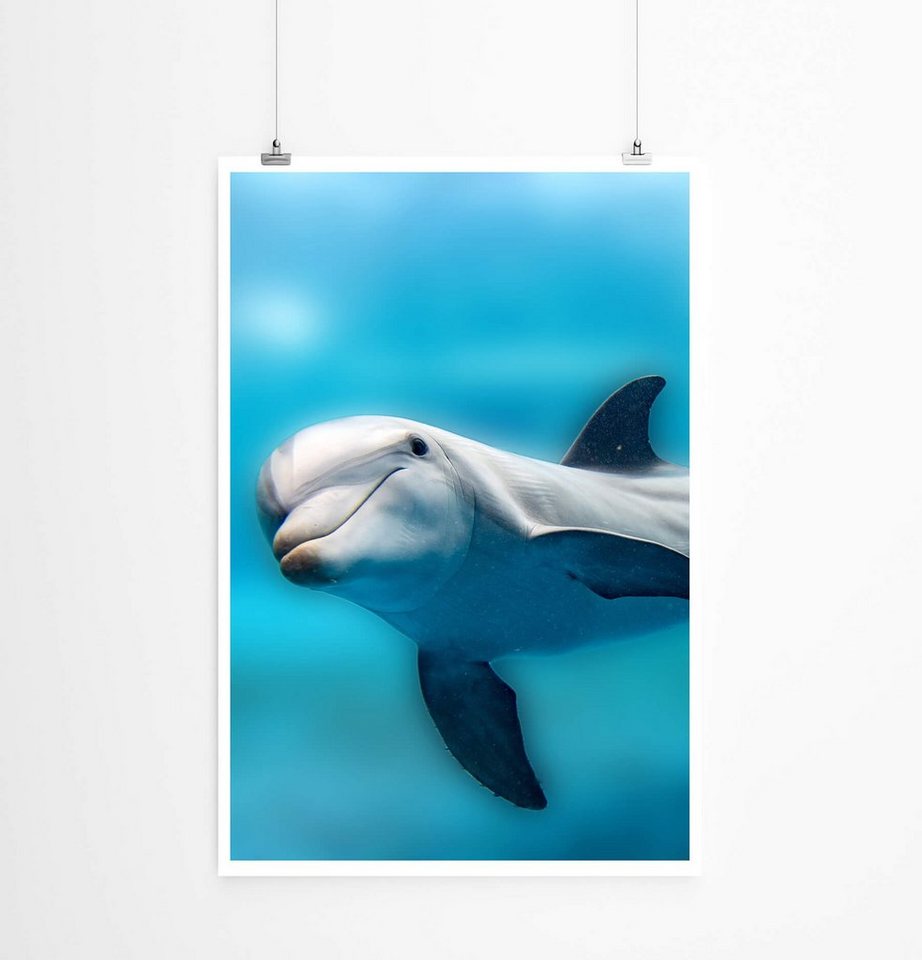 Sinus Art Poster Delfin 60x90cm Poster Sinus Art Poster Delfin 60x90cm Poster von Sinus Art