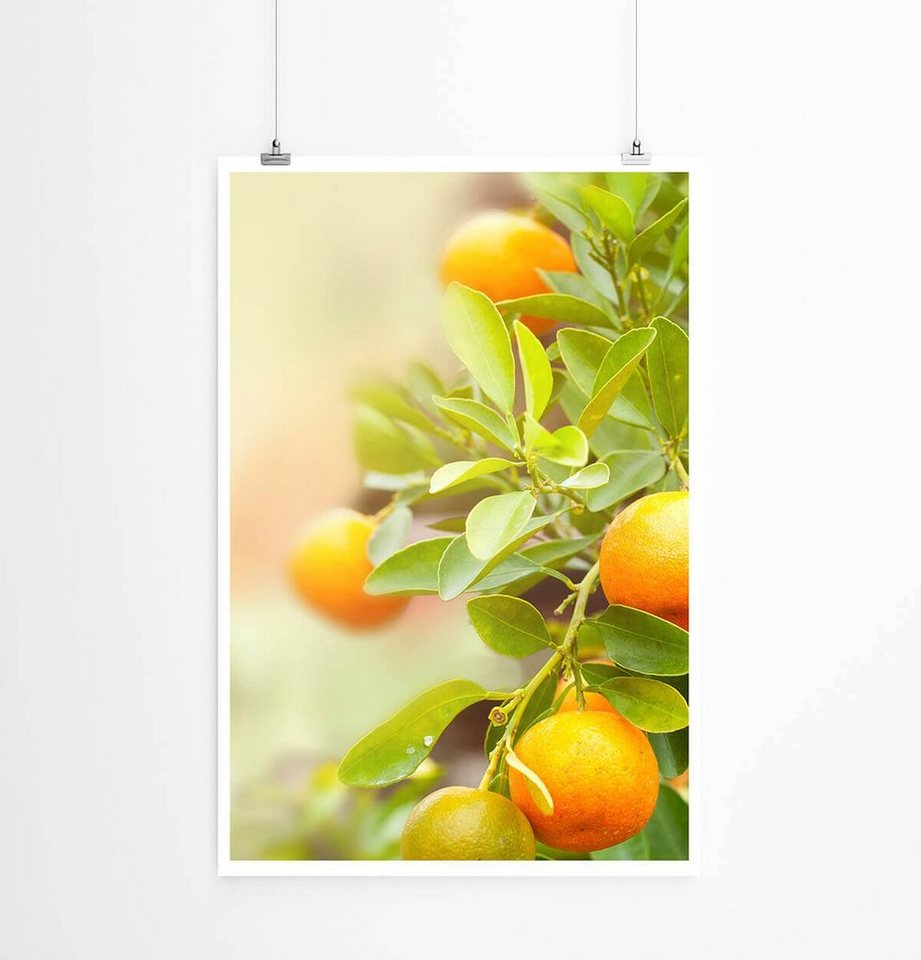 Sinus Art Poster Food-Fotografie 60x90cm Poster Mandarinen am Baum Sinus Art Poster Food-Fotografie 60x90cm Poster Mandarinen am Baum von Sinus Art