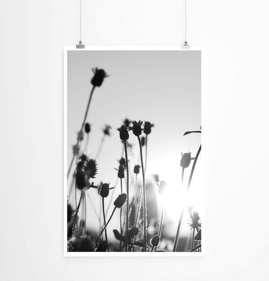 Sinus Art Poster Knospen in der Sonne 60x90cm Poster Sinus Art Poster Knospen in der Sonne 60x90cm Poster von Sinus Art