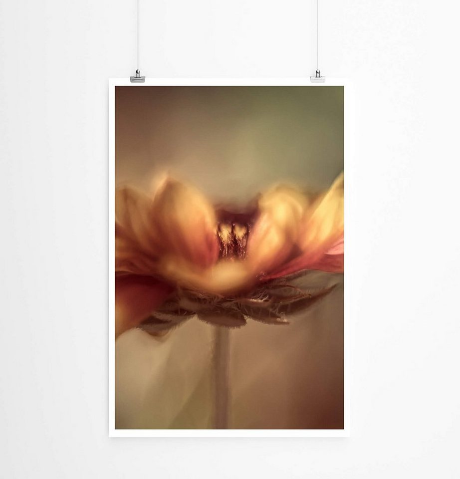 Sinus Art Poster Künstlerische Fotografie  Blume im Spätsommer 60x90cm Poster von Sinus Art