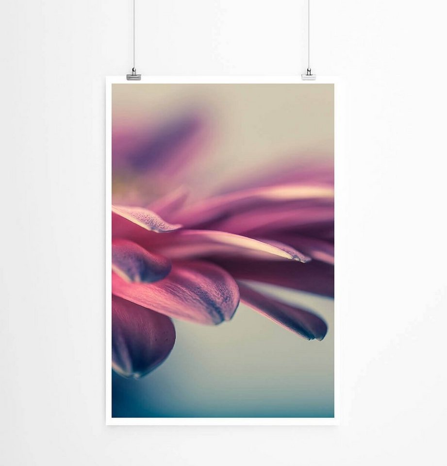 Sinus Art Poster Naturfotografie 60x90cm Poster Gerbera Blumen Nahaufnahme Sinus Art Poster Naturfotografie 60x90cm Poster Gerbera Blumen Nahaufnahme von Sinus Art