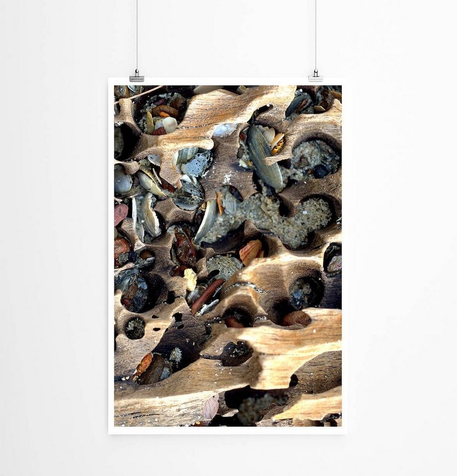 Sinus Art Poster Naturfotografie 60x90cm Poster Holz und Muscheln am Strand von Sinus Art