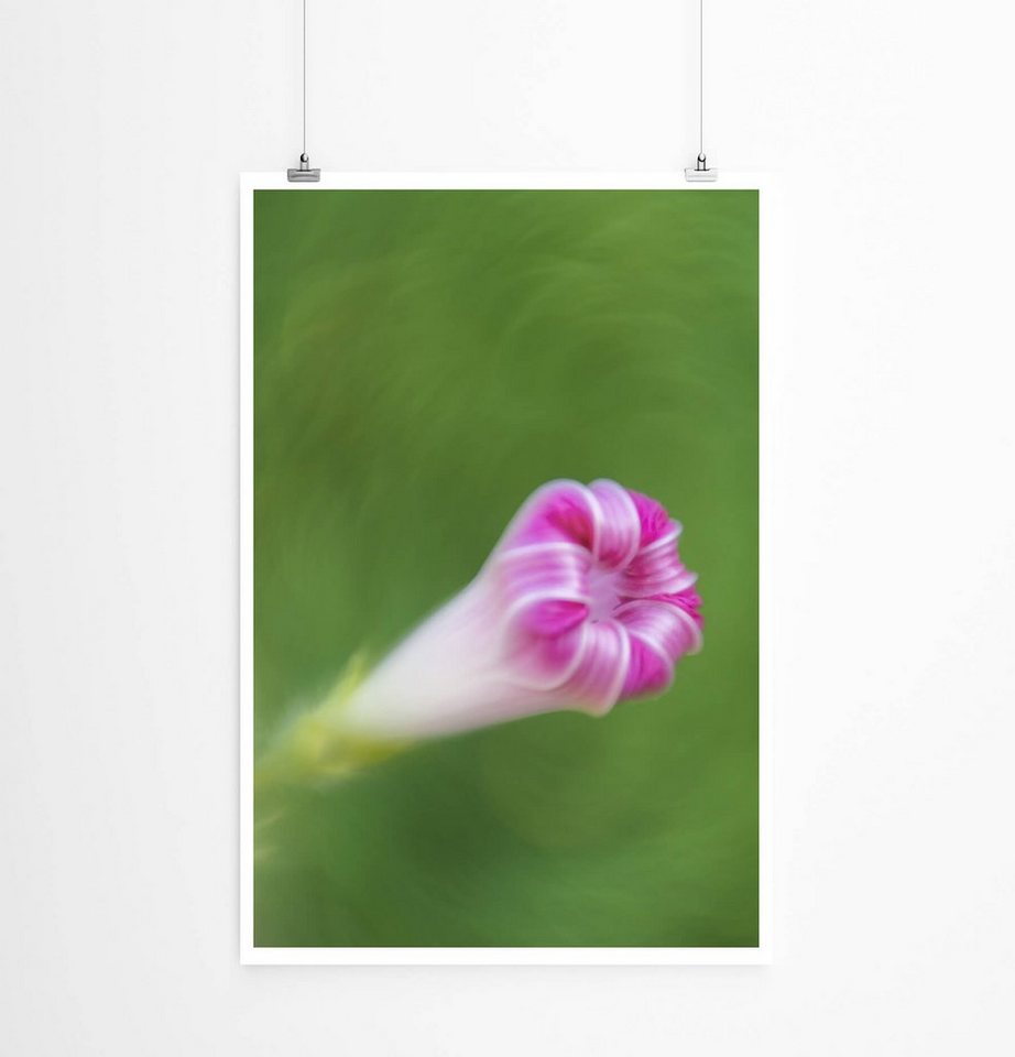 Sinus Art Poster Naturfotografie Pinke Blüte einer Kletterpflanze 60x90cm Poster Sinus Art Poster Naturfotografie Pinke Blüte einer Kletterpflanze 60x90cm Poster von Sinus Art