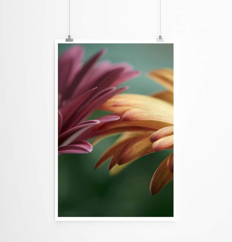 Sinus Art Poster Rote und orange Blumen 60x90cm Poster Sinus Art Poster Rote und orange Blumen 60x90cm Poster von Sinus Art