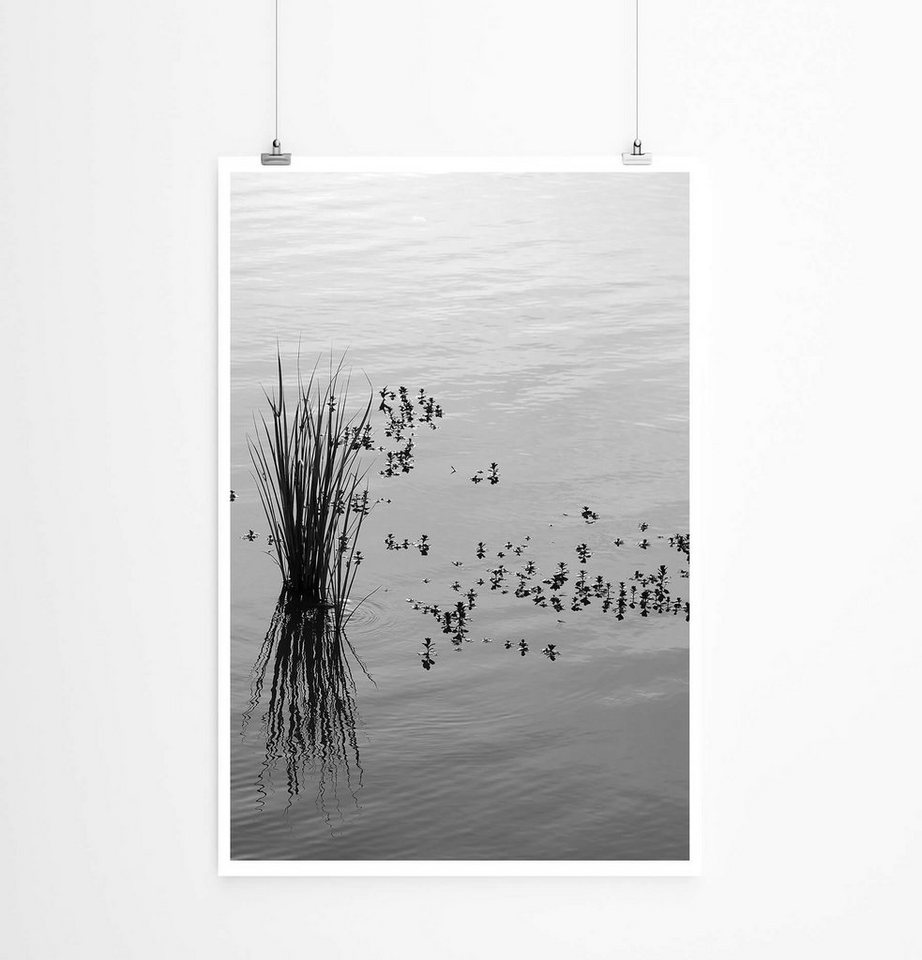Sinus Art Poster Schilf im Wasser 60x90cm Poster Sinus Art Poster Schilf im Wasser 60x90cm Poster von Sinus Art