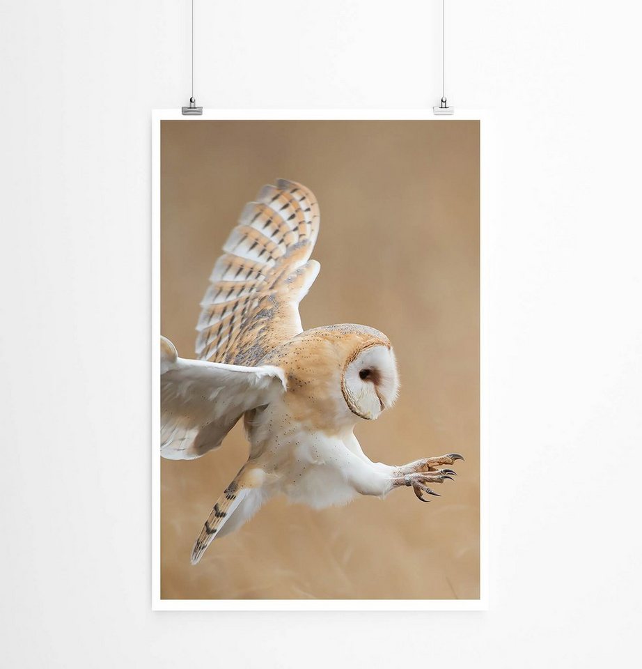 Sinus Art Poster Schleiereule im Flug 60x90cm Poster Sinus Art Poster Schleiereule im Flug 60x90cm Poster von Sinus Art