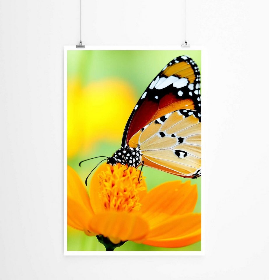 Sinus Art Poster Schöner Schmetterling auf oranger Blume 60x90cm Poster Sinus Art Poster Schöner Schmetterling auf oranger Blume 60x90cm Poster von Sinus Art