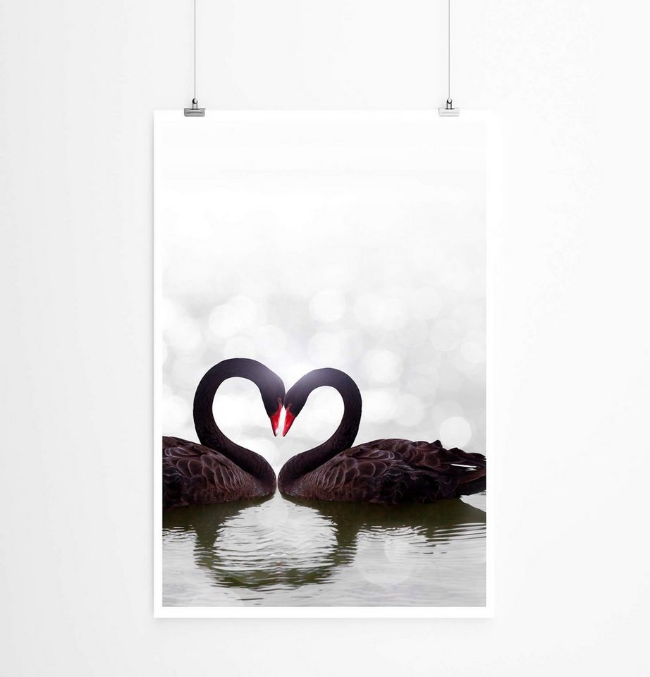 Sinus Art Poster Schwarzes Schwanenpaar 60x90cm Poster Sinus Art Poster Schwarzes Schwanenpaar 60x90cm Poster von Sinus Art