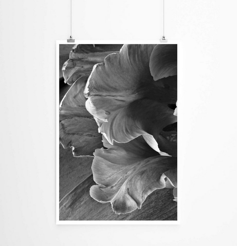 Sinus Art Poster Tulpe auf Holz 60x90cm Poster von Sinus Art