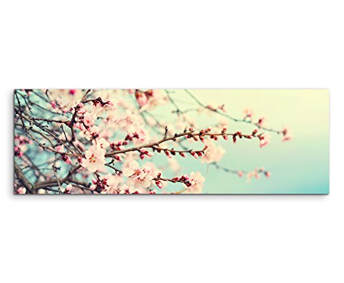 Sinus Art Wandbild 120x40cm Naturfotografie – Rosa Kirschblüten auf Leinwand für Wohnzimmer, Büro, Schlafzimmer, Ferienwohnung u.v.m. Gestochen scharf in Top Qualität von Sinus Art