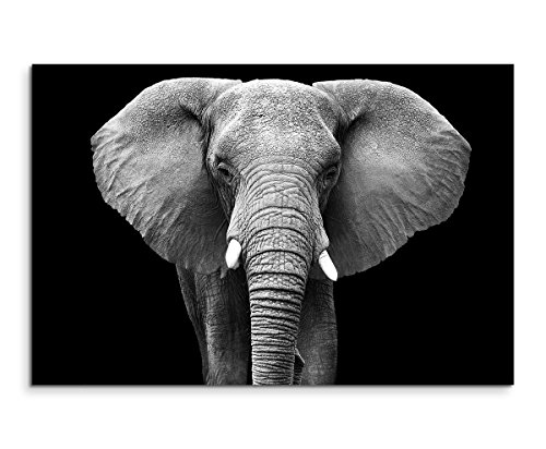 Sinus Art Wandbild 120x80cm Tierfotografie – Großer Elefanten von vorne schwarz weiß von Sinus Art