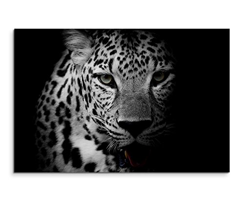 Sinus Art Wandbild 120x80cm Tierfotografie – Porträt eines Leoparden schwarz weiß von Sinus Art