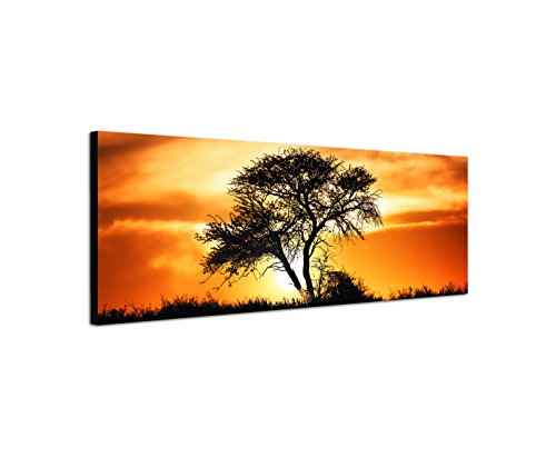 Sinus Art Wandbild 150x50cm Afrika Kalahari Baum Sonnenuntergang von Sinus Art
