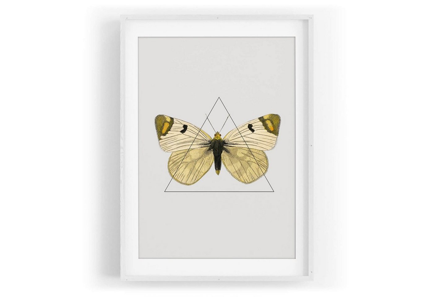 Sinus Art Wandbild Wandbild Vintage Schmetterling Dreieck Design Kunstvoll von Sinus Art