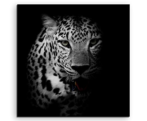 Sinus Art Wandbild quadratisch 60x60cm Tierfotografie – Porträt eines Leoparden schwarz weiß von Sinus Art