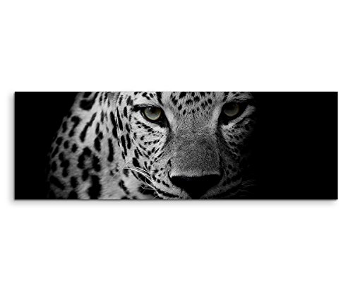 Sinus Art XXL Panoramabild 150x50cm Tierfotografie – Porträt eines Leoparden schwarz weiß von Sinus Art
