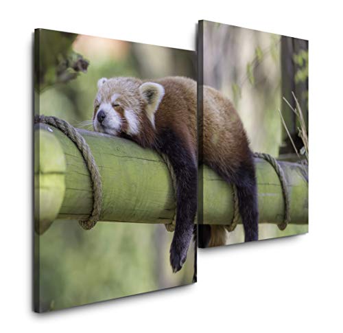 Sinus Art schlafender roter Panda 120x80cm 2 Kunstdrucke je 70x60cm Kunstdruck modern Wandbilder XXL Wanddekoration Design Wand Bild von Sinus Art