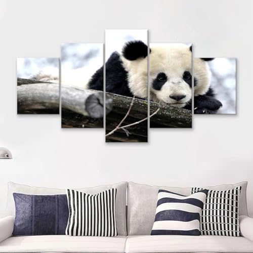 Leinwand Wanddekoration Malerei 5 Stück Leinwand Pandabären süße Tiere Leinwanddrucke 5 Teiliges Wandbild 5 Teilig Leinwand Wanddeko Wohnzimmer Wohnkultur 150 * 80cm von SioNS