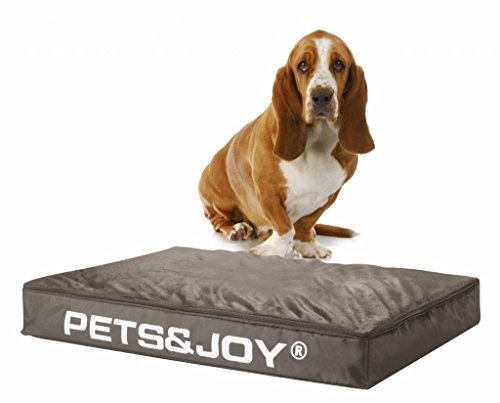 sit&joy® Sitzsack Dog Bed Medium Taupe von Sit&Joy