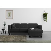 sit&more Ecksofa "Belluci L-Form" inklusive Federkern, wahlweise mit Bettfunktion und Bettkasten von Sit & More