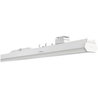 Siteco LED-Leuchteneinsatz 840 Multilumen 52TS12CN475F von Siteco